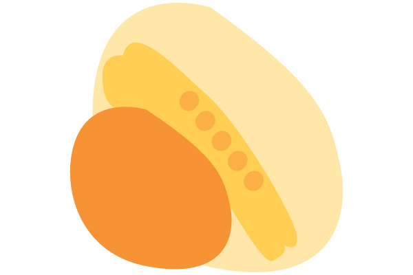 illustration of developing fertilized egg with three germ layers