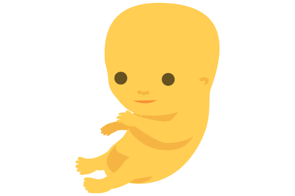 illustration of developing human baby at 9 weeks