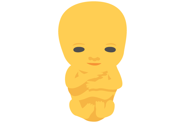 illustration of developing human baby at 11 weeks